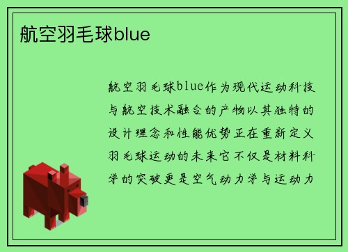 航空羽毛球blue