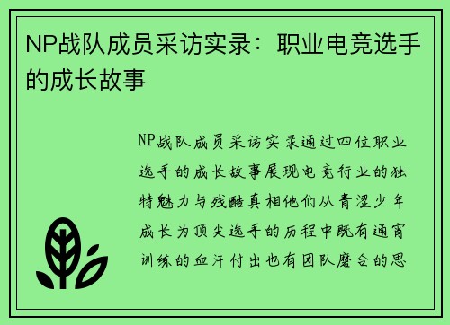 NP战队成员采访实录：职业电竞选手的成长故事